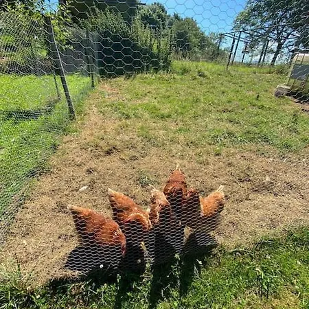 Casa Cosaratu, 2-9 Personas Сasa de vacaciones *