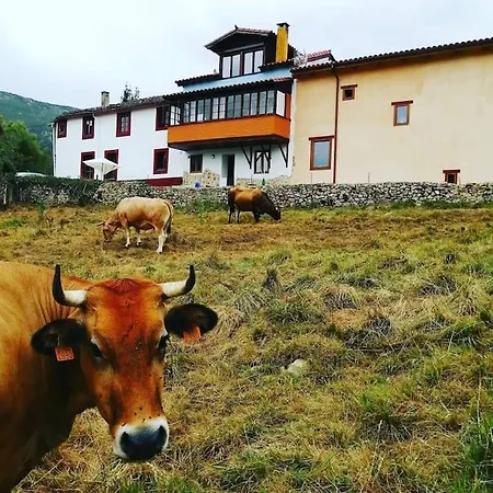 Casa Cosaratu, 2-9 Personas Dom wakacyjny Borines